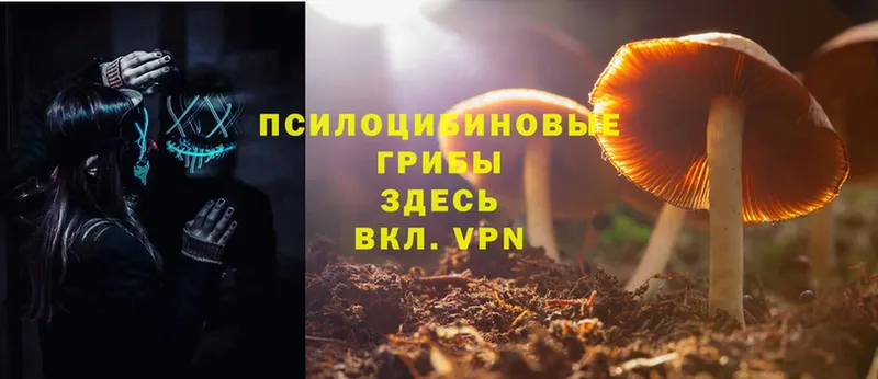 darknet Telegram  Кировград  Псилоцибиновые грибы Magic Shrooms  купить наркотик 